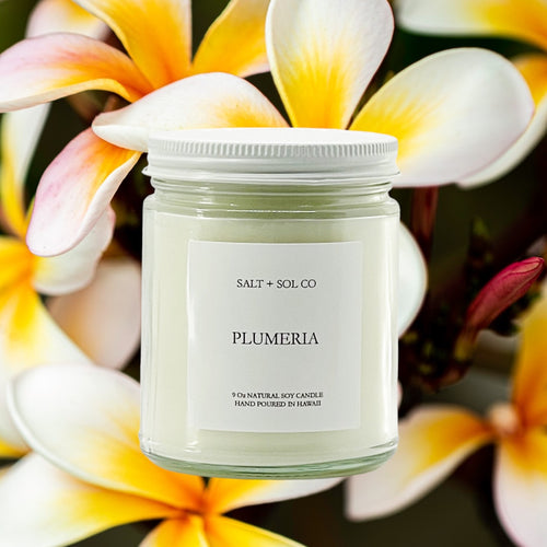 Purchase Plumeria Soy Wax Candle for sale at Salt Sol Co.